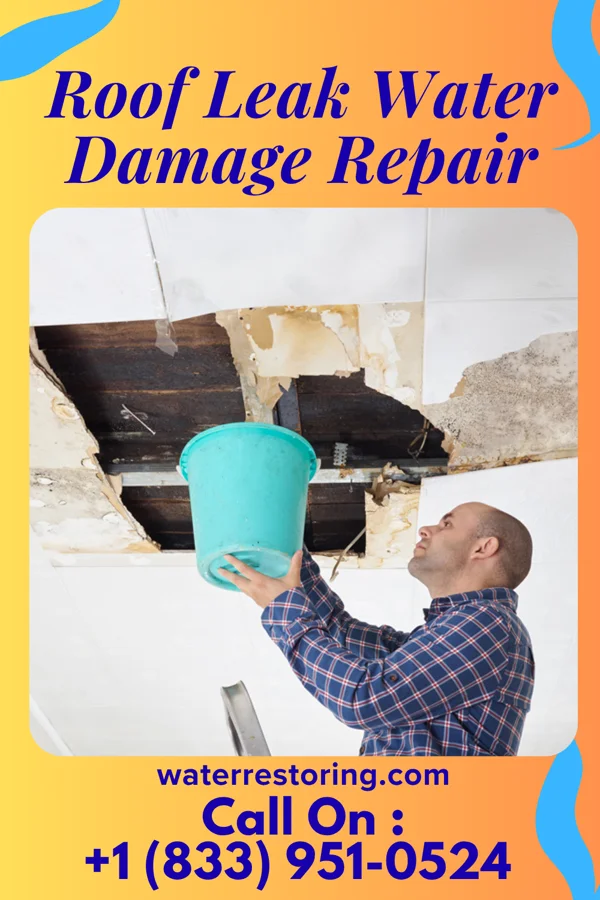 Roof Leak Water Damage Repair in Whitmire, SC